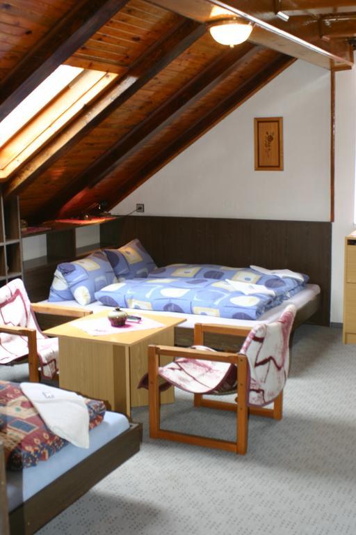 Pension U Vlasku Karlovy Vary Phòng bức ảnh